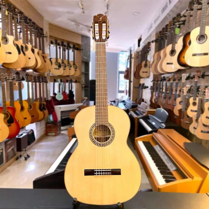 shop-dan-guitar-2